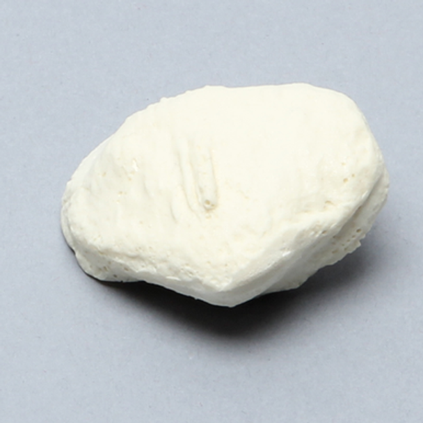 Patella, Solid Foam, Right