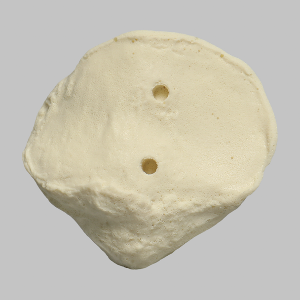 Patella, Solid Foam, Right