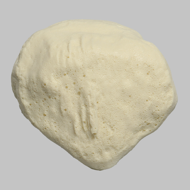 Patella, Solid Foam, Right