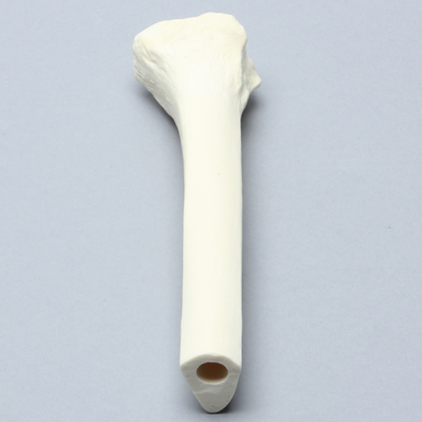 Tibia, Distal, Solid Foam, Left