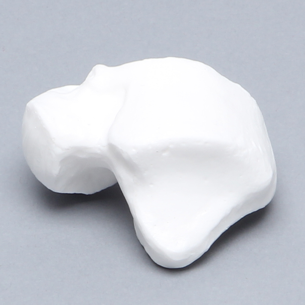 Talus, Solid White Plastic, Left