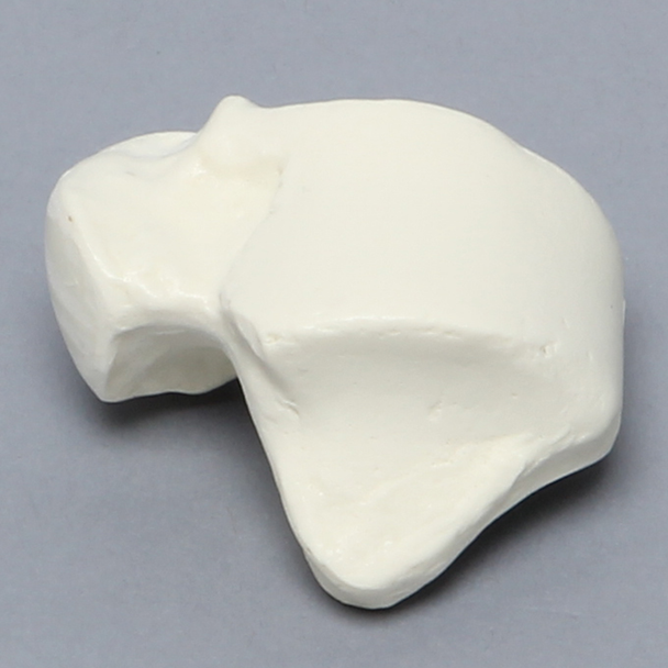 Talus, Solid Foam, Left