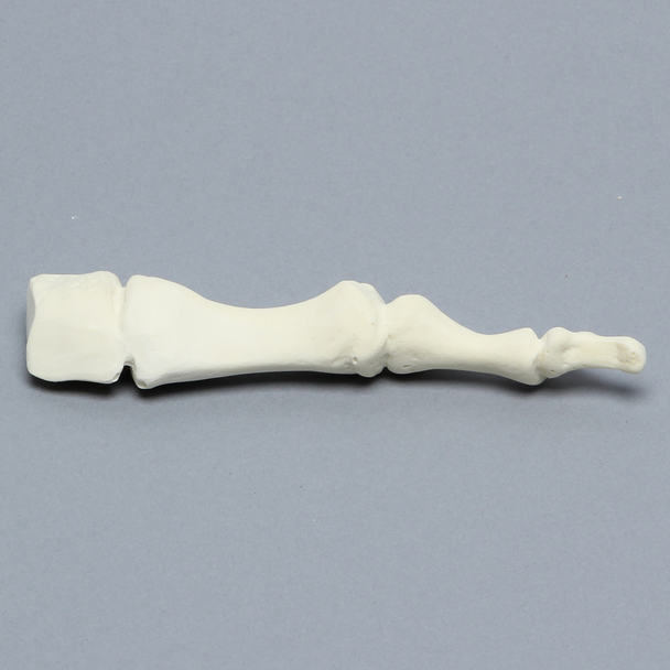 Metatarsal, First, Solid Foam, Left, Large
