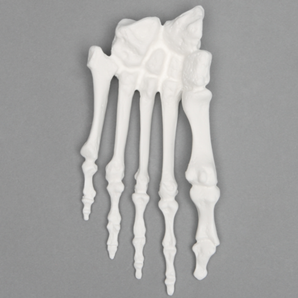 Forefoot, Solid White Plastic, Left, Large