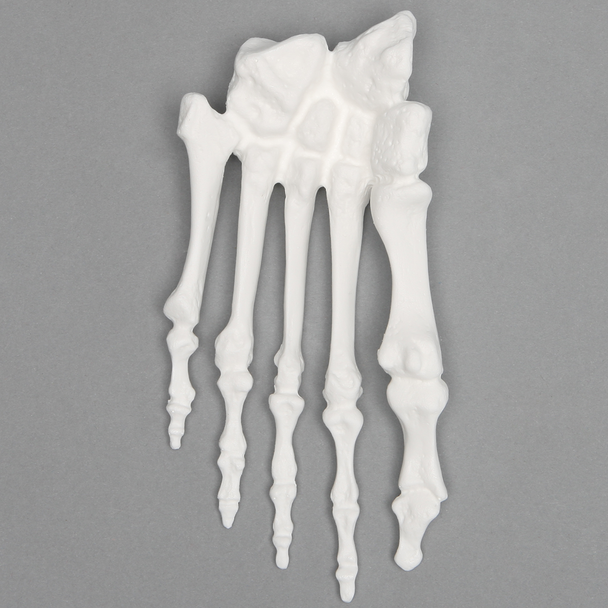 Forefoot, Solid White Plastic, Left, Large