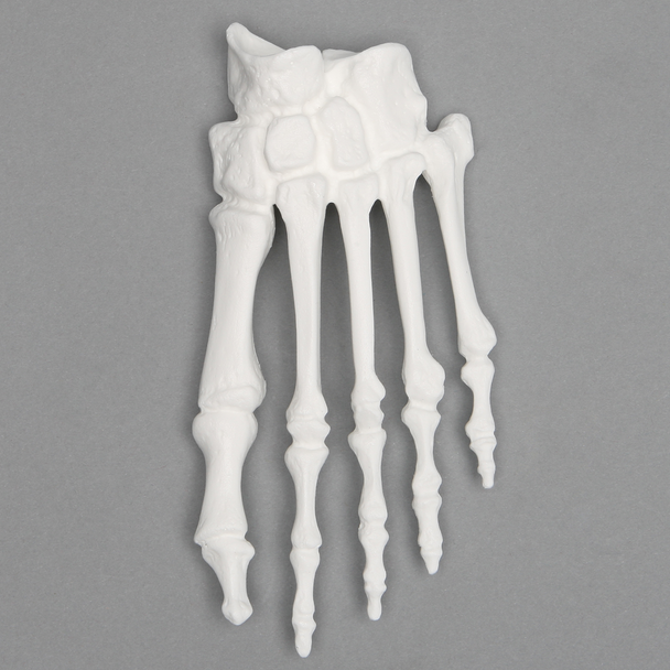 Forefoot, Solid White Plastic, Left, Large