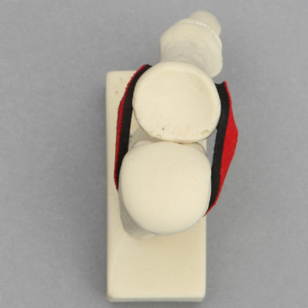 Metatarsal with Articulation and Ligaments, Solid Foam, Left