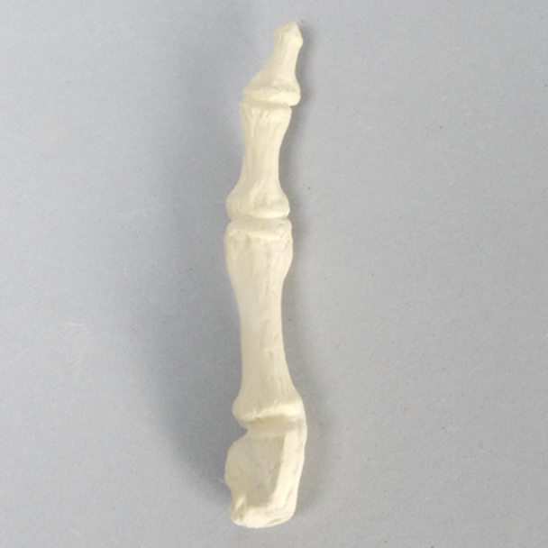 Metatarsal, First, Solid Foam, Right, Large