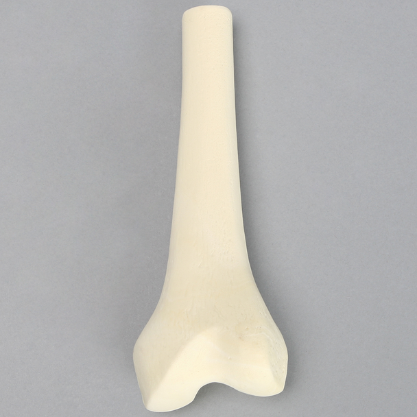 Femur, Distal without Canal, Solid Foam, Left