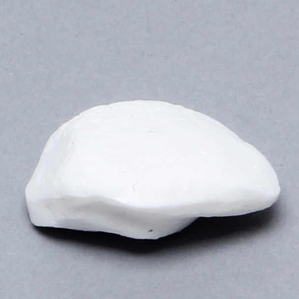 Patella, Solid White Plastic, Left, Medium