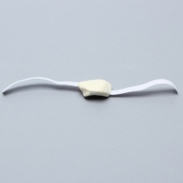 Patella with Straps, Solid Foam, Right