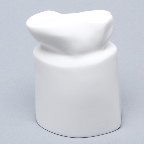 Tibial Plug Replacement Part