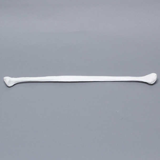 Fibula, Solid White Plastic, Left