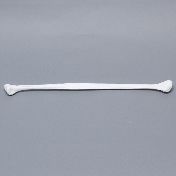 Fibula, Solid White Plastic, Left