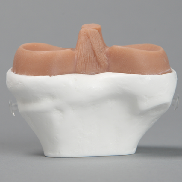 Replacement Tibia for Suture Trainer