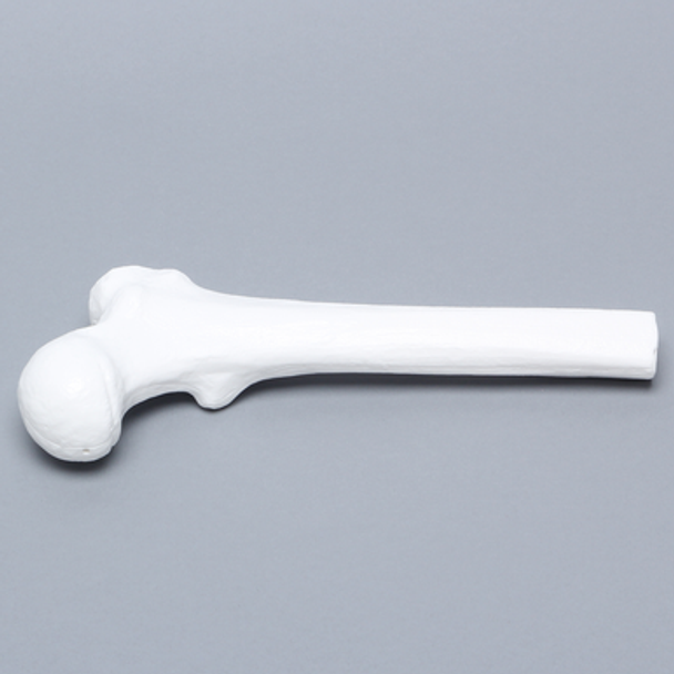 Femur, Plastic Cortical Shell, Proximal