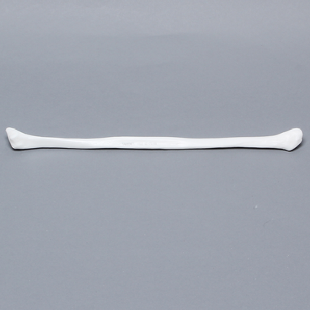 Fibula, Solid White Plastic, Left, Medium