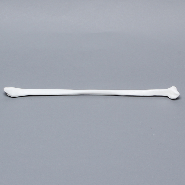 Fibula, Solid White Plastic, Left, Medium
