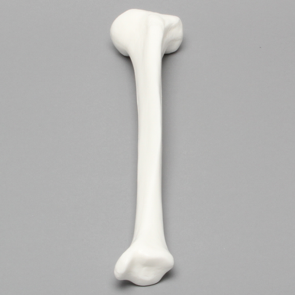 Tibia, Solid White Plastic, Medium, Left