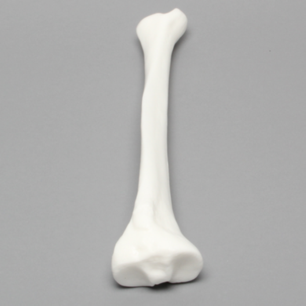 Tibia, Solid White Plastic, Medium, Left