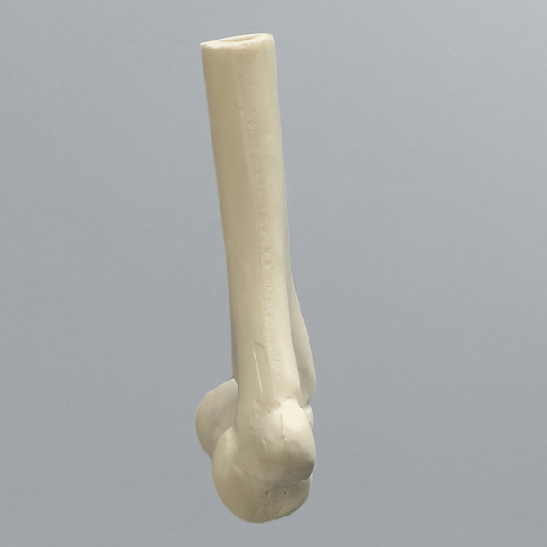 Distal Pediatric Elbow for Wire Navigation Trainer