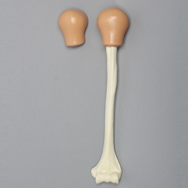 Humerus with Skin Patch, Pediatric