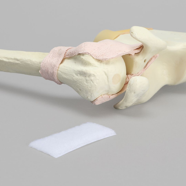 Shoulder Insert for SCR Arthroscopy Shoulder Simulator #1509-37-3, Solid Foam