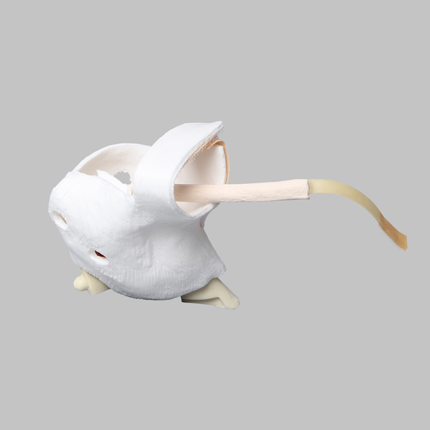 Glenoid Capules Assembly for 1509 Shoulder Series