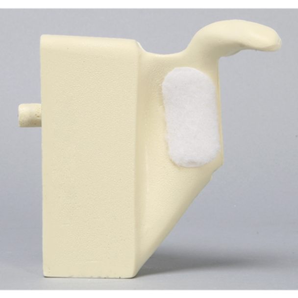 Scapula without Glenoid for Alex Shoulder