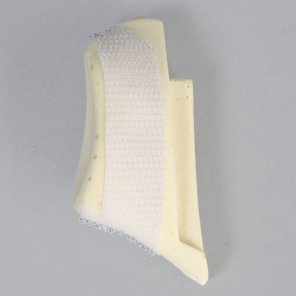 Glenoid with Anchor Tunnels for ALEX II and ALEX III Shoulder Professors Glenoid with Anchor Tunnels for ALEX II and ALEX III Shoulder Professors