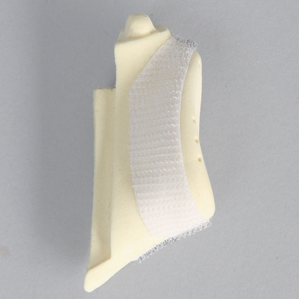 Glenoid with Anchor Tunnels for ALEX II and ALEX III Shoulder Professors