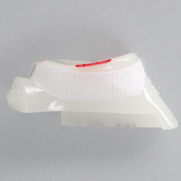 Clear Glenoid Component for ALEX II and ALEX III Shoulder Professors