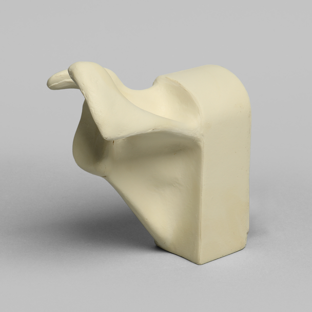 Scapula with Hollow Vise Attachment, Foam Cortical, Left
