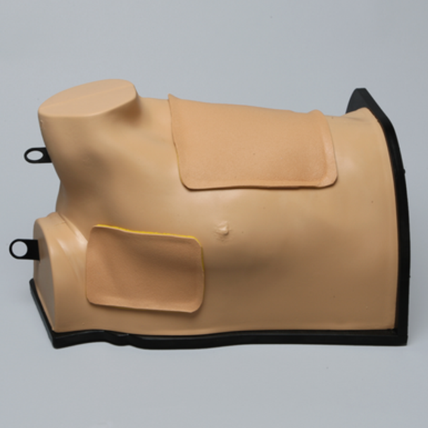 Thoracostomy Model Thoracostomy Model