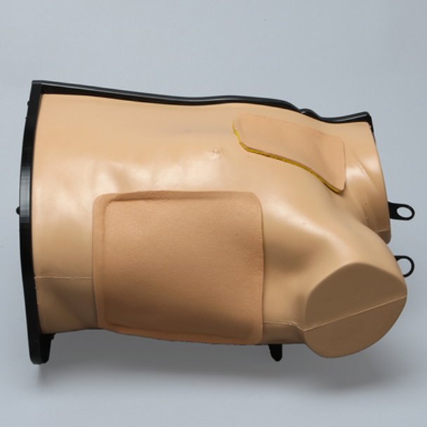 Thoracostomy Model Thoracostomy Model