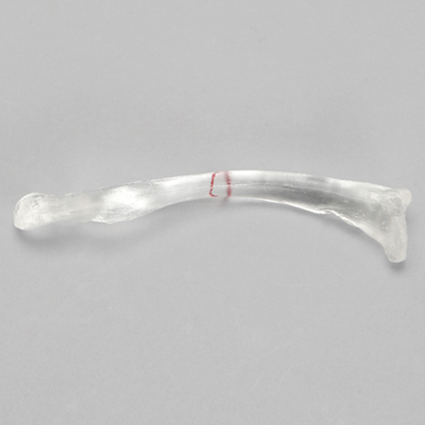 Clavicle with Scribed Fracture Line, Solid Clear Plastic