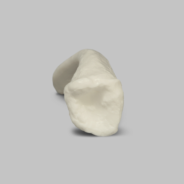 Clavicle, Solid White Plastic, Left