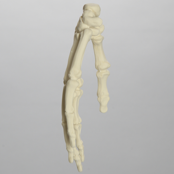 Hand, Solid Foam, Left, Large