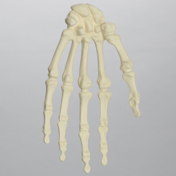 Hand, Solid Foam, Left, Large