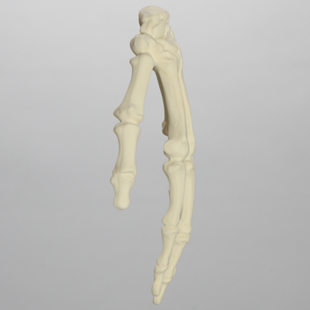 Hand, Solid Foam, Left, Large