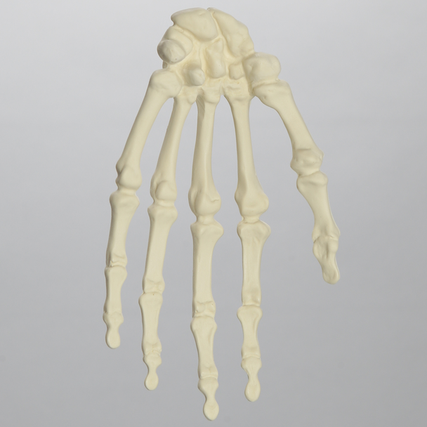 Hand, Solid Foam, Left, Large