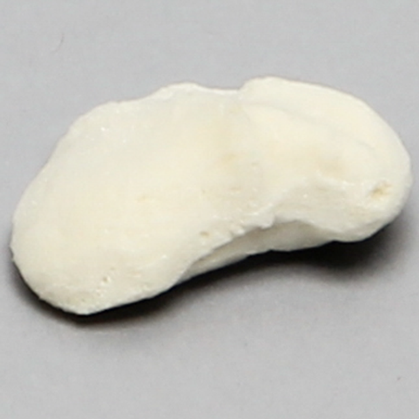 Scaphoid, Solid Foam, Left