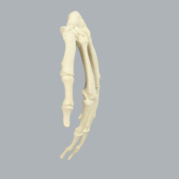 Hand, Solid Foam, Left, Medium