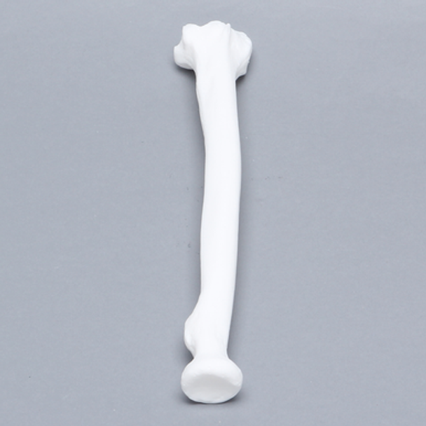 Radius, Solid White Plastic, Left