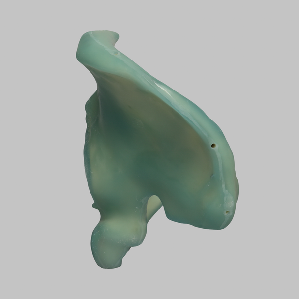 Hemi Pelvis, absolute™ Osteo, 10 PCF Solid Foam Core, Left