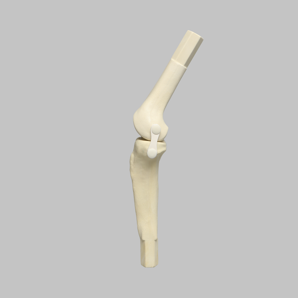 Converge™ Medium Left Knee with Stretch Collateral and Cruciate Ligaments