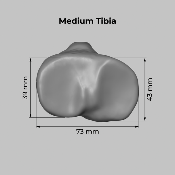Converge™ Medium Left Knee with Non-Stretch Collateral and Cruciate Ligaments