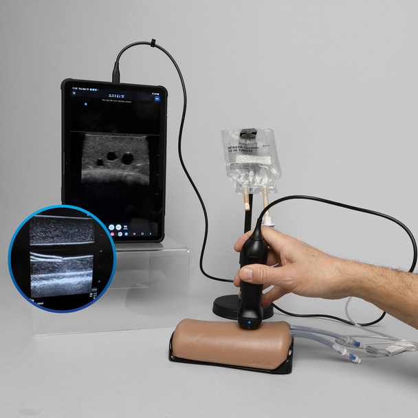 Ultrasound Branching 3-Vein Access Trainer with Artery, Medium Tone