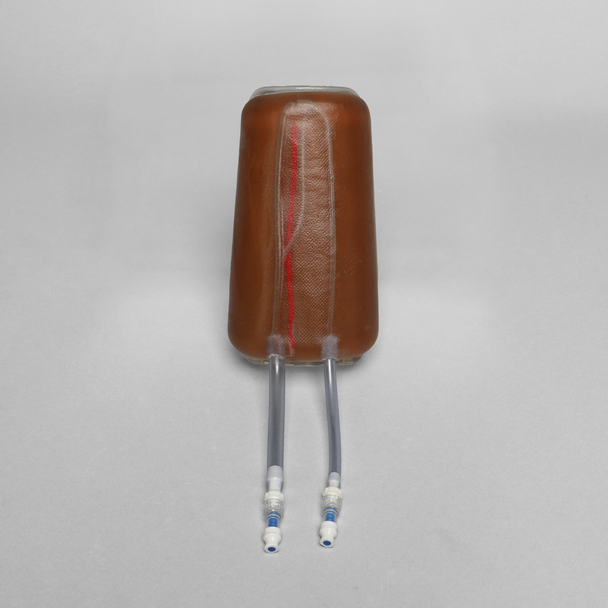 Ultrasound Branching 3-Vein Access Trainer with Artery, Clear Tone
