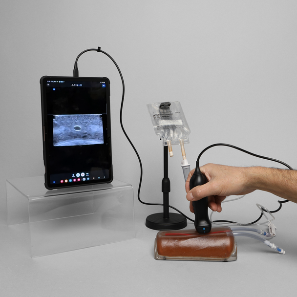 Ultrasound Branching 3-Vein Access Trainer with Artery, Clear Tone